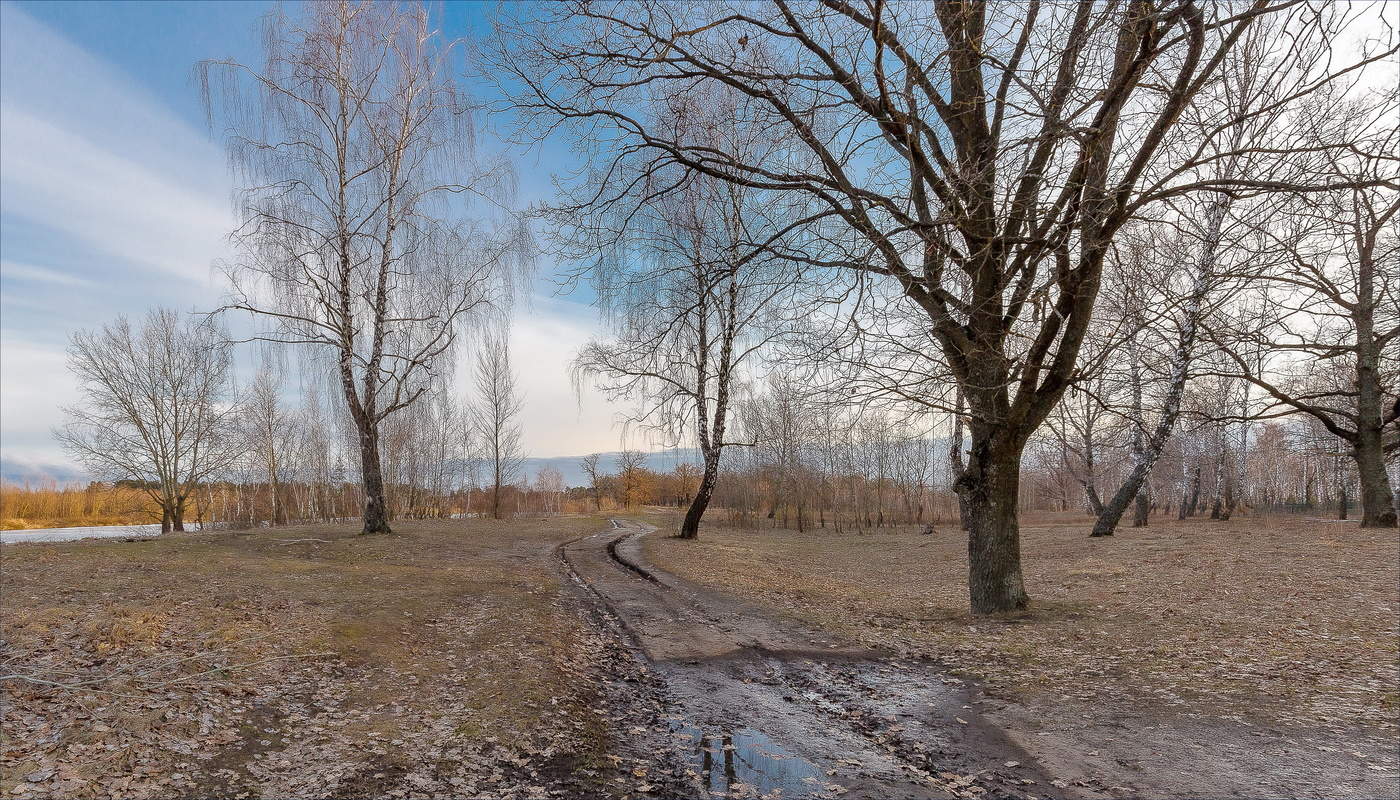 Разухабилась дорога весенняя..