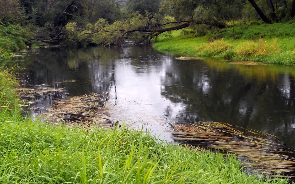 Пасмурным днём...