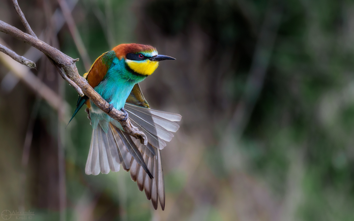 Потягушки...