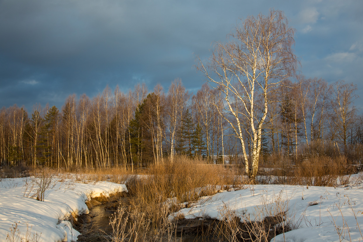 Апрельское утро