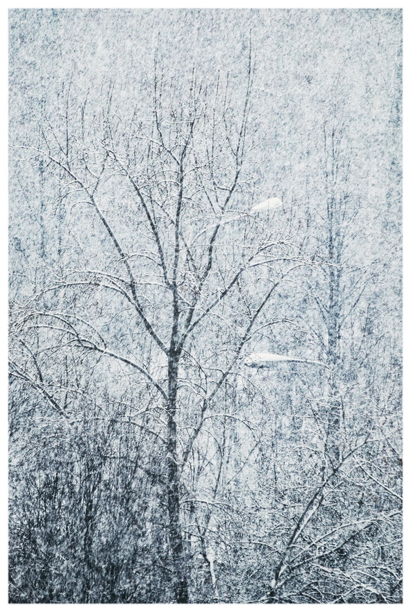 Апрельский снегопад - снег на час