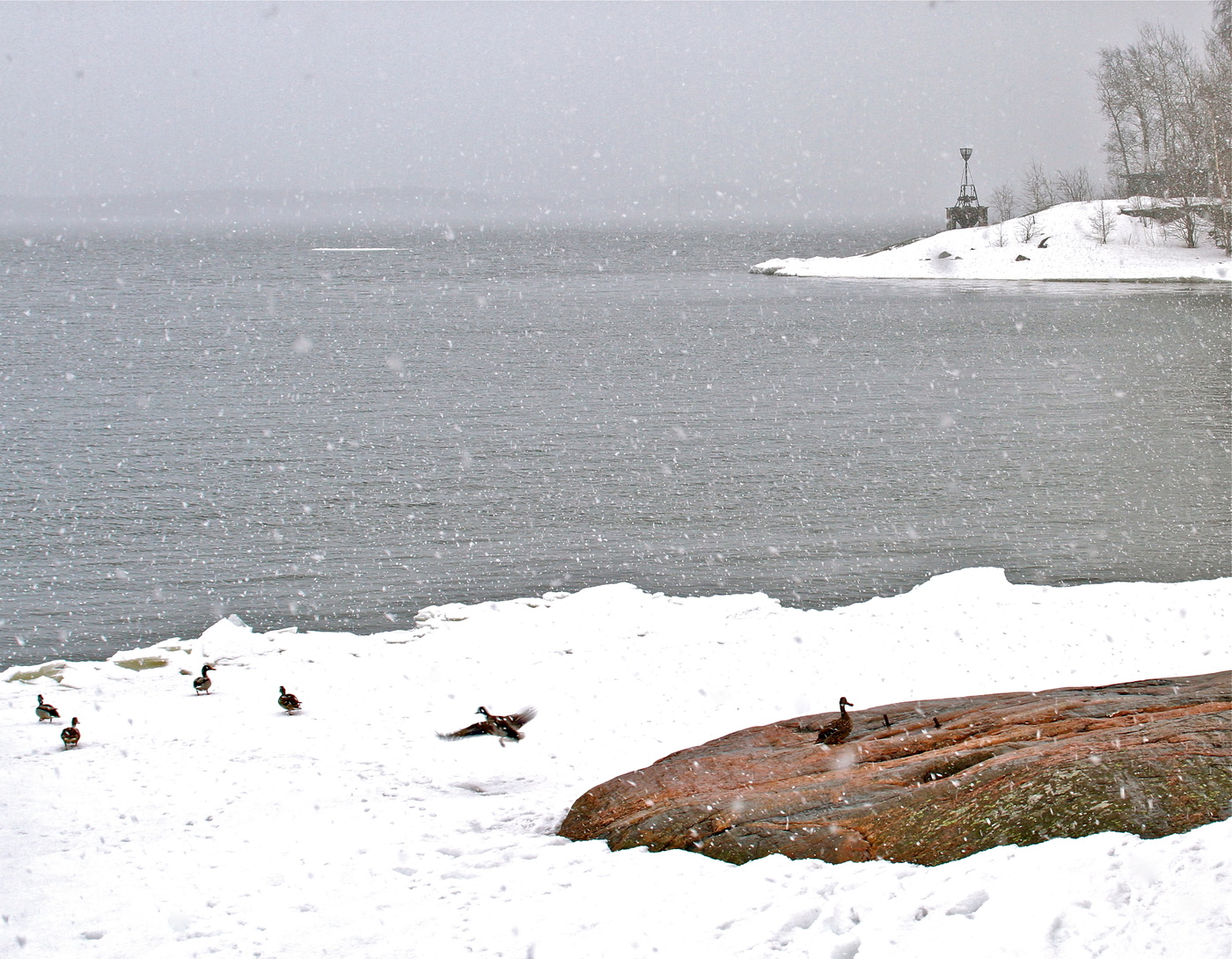 Апрельский снегопад