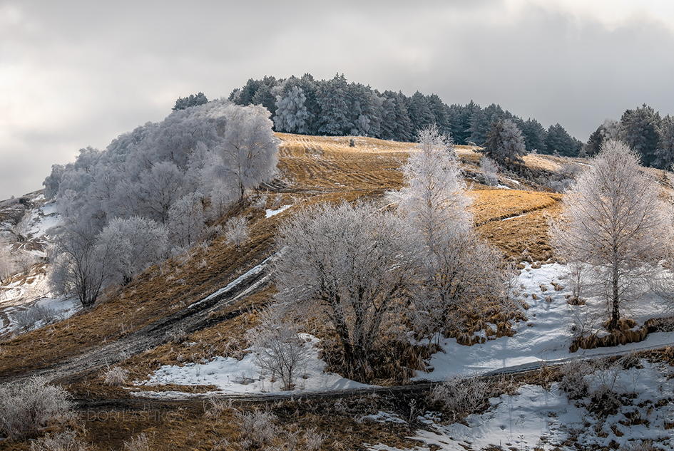 Серебристый иней