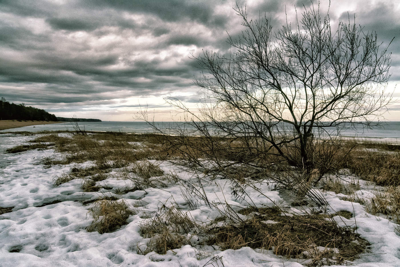 Берег залива