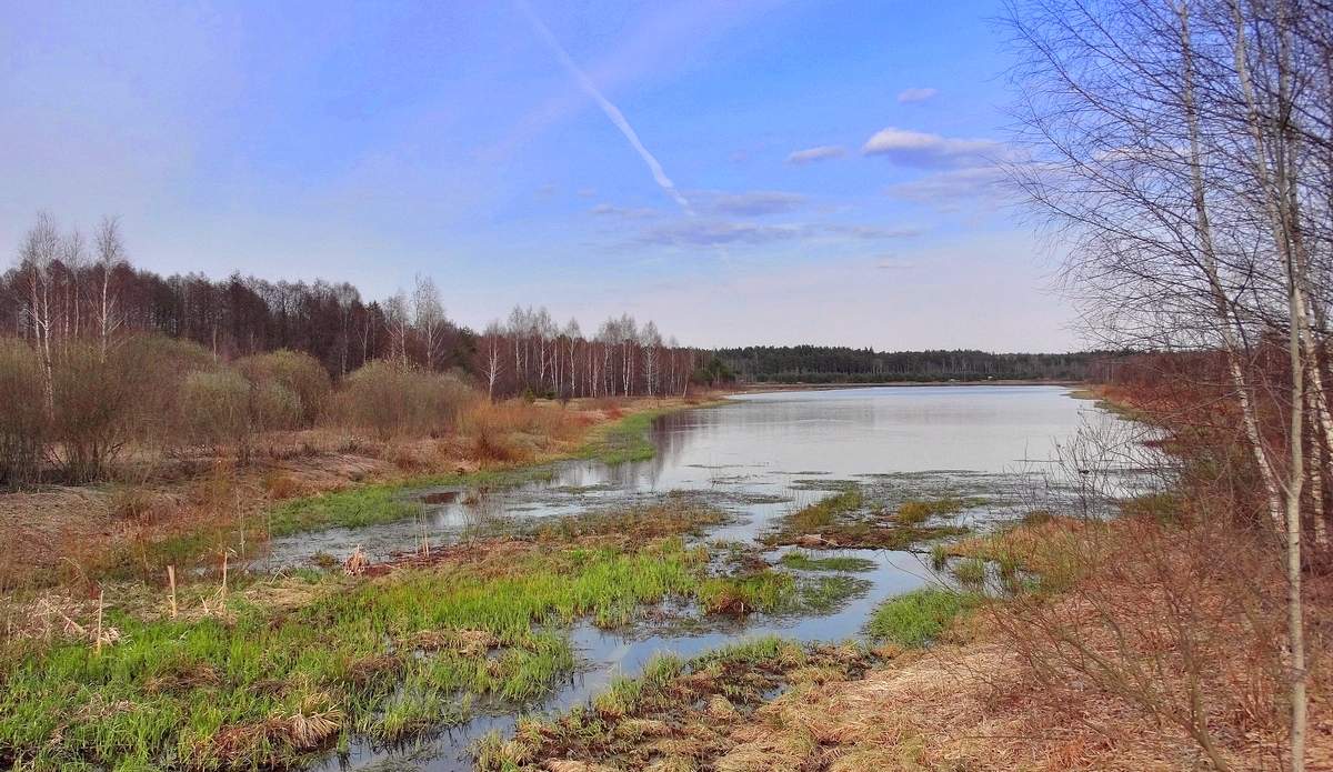 Весна в апреле