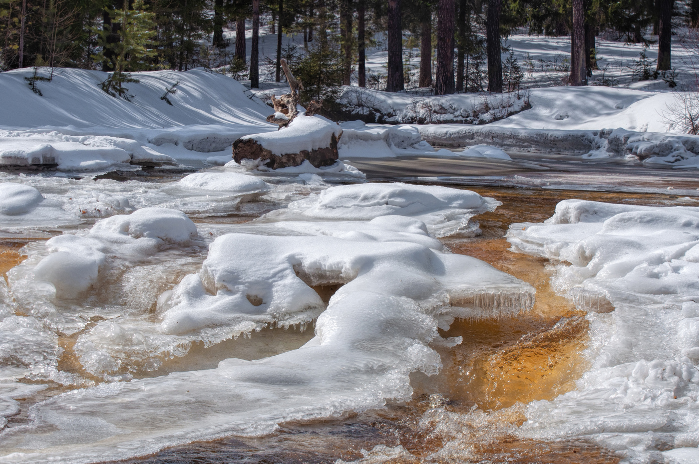 Весенние кружева