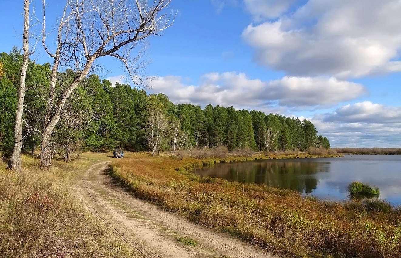 Осень, дорога у озера