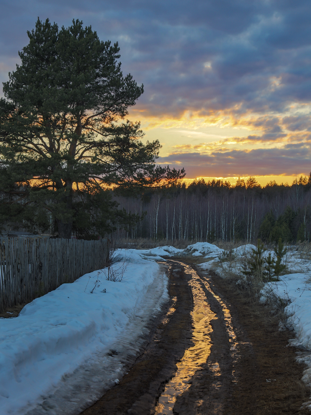 Поздний вечер