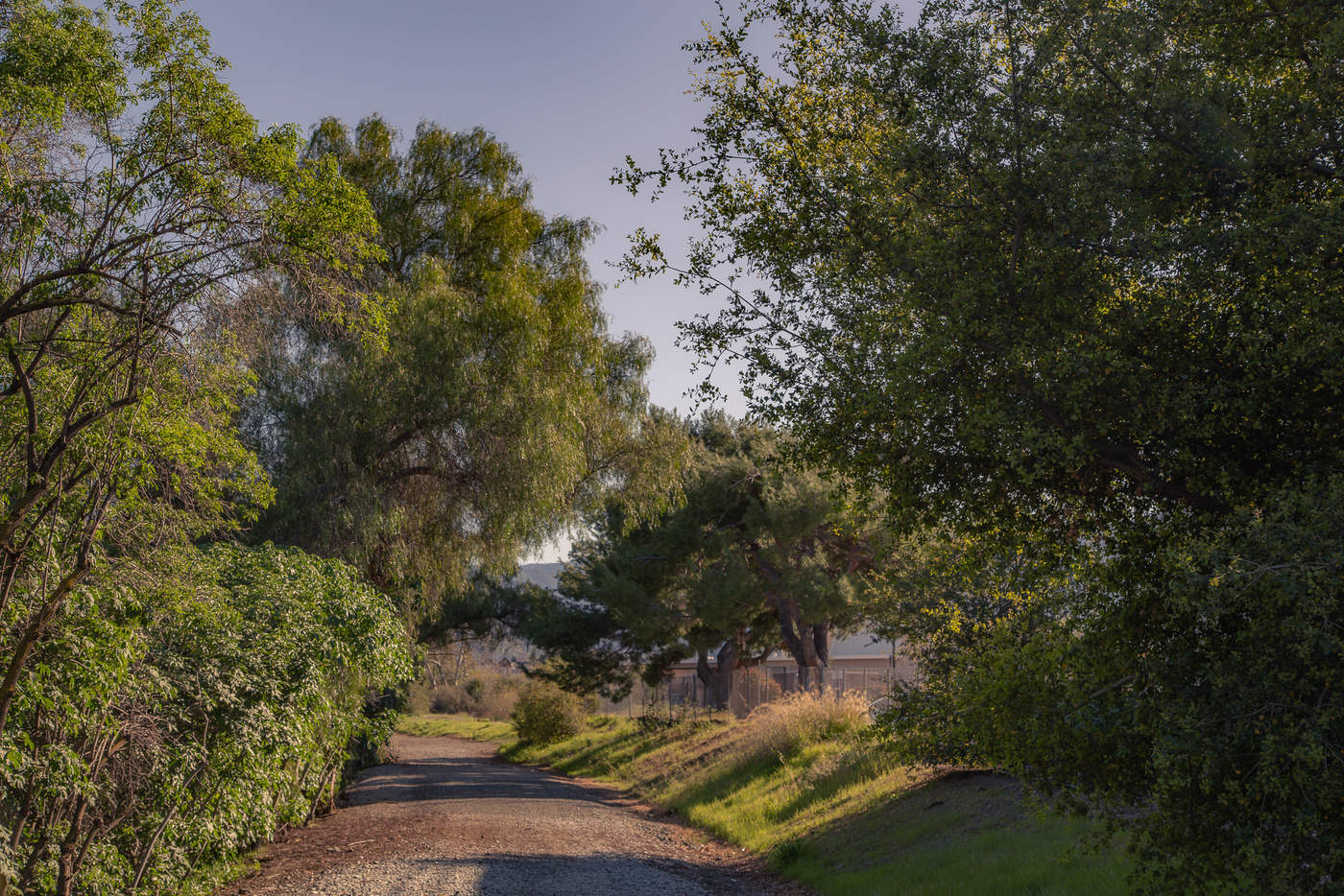 Дорожка в неизвестность...