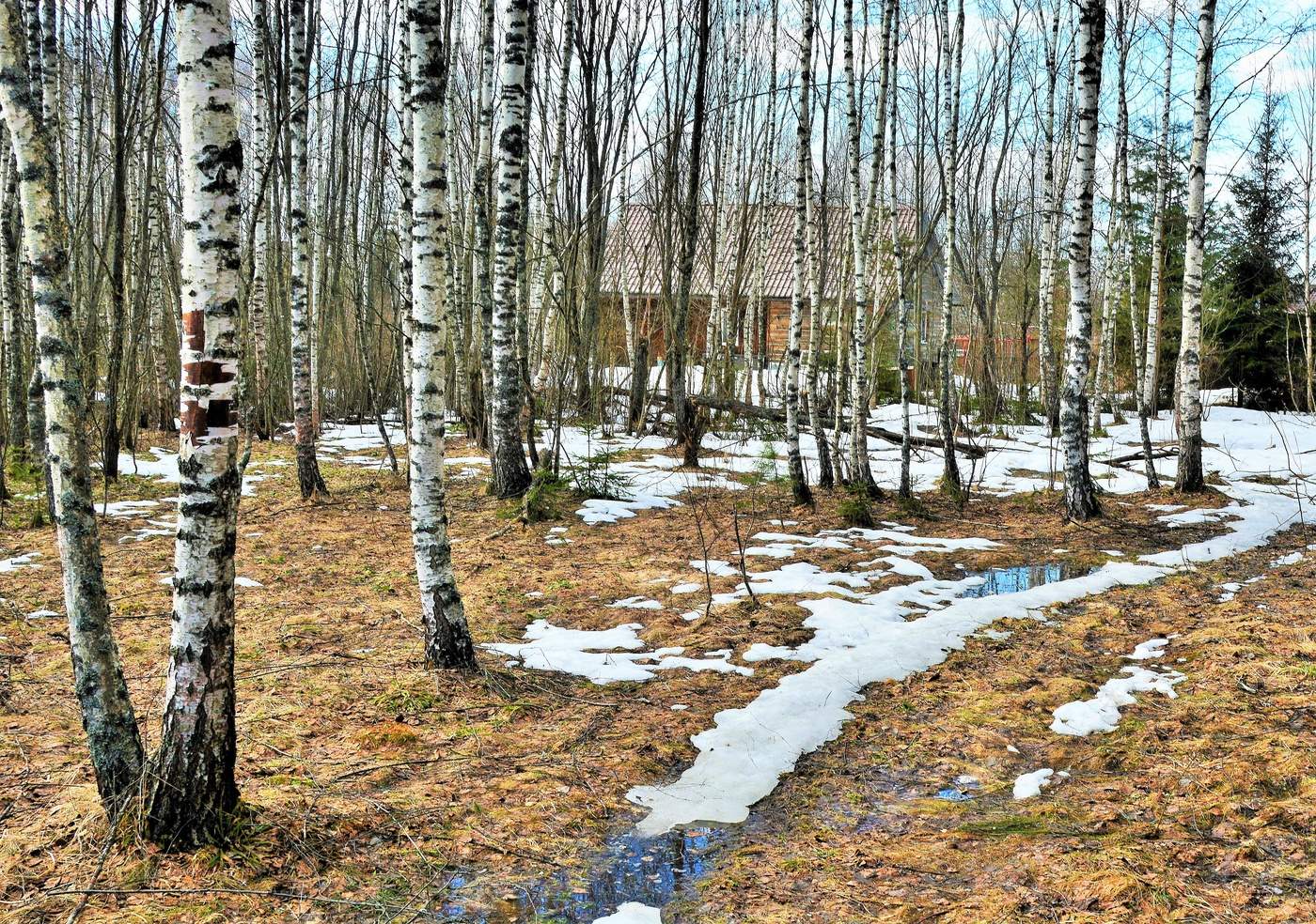"Весна заботливо смывает остатки прожитой зимы..."