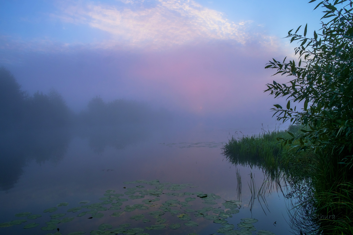На рассвете туман.