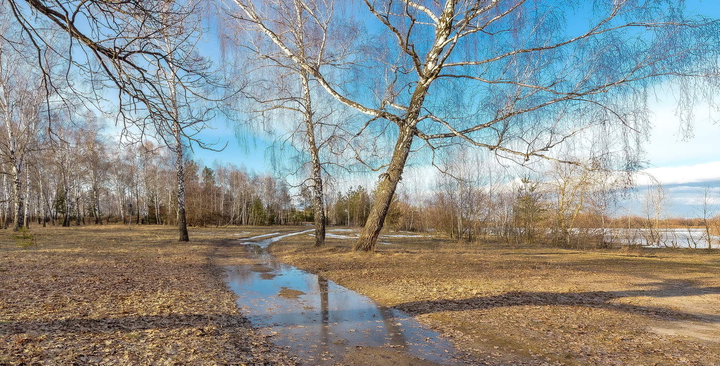 Весенних луж голубизна...