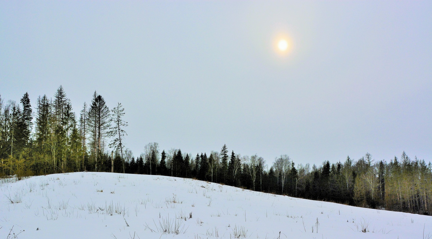 "Как солнце зимнее прекрасно ..."