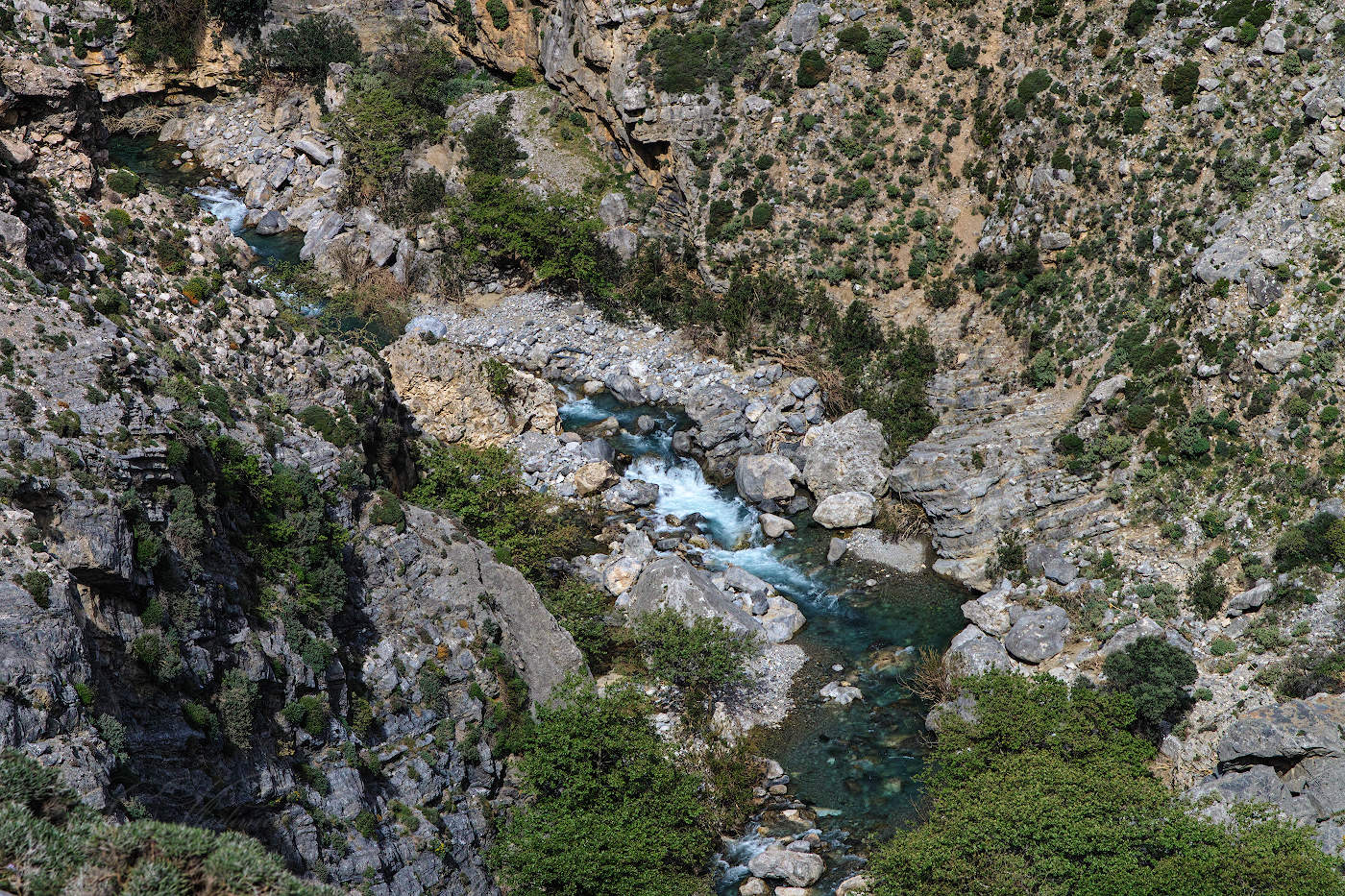 Вышел на прогулку