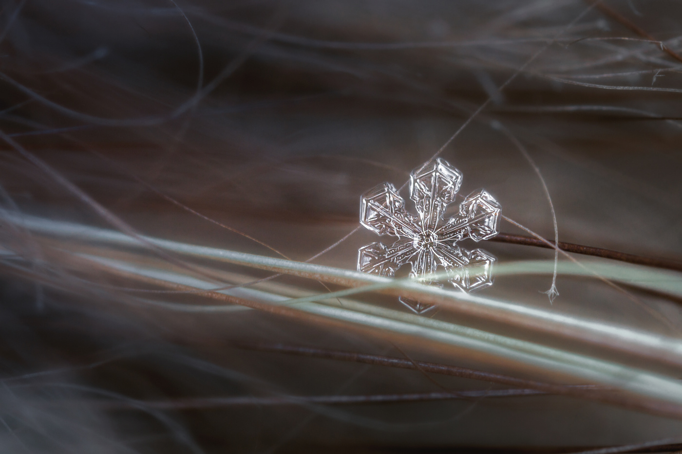 Где-то во Вселенной...