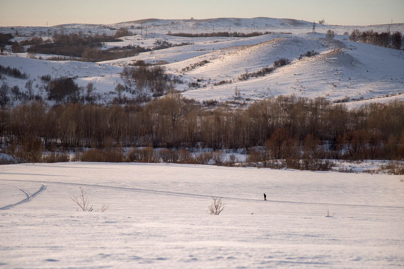 Вышел на прогулку