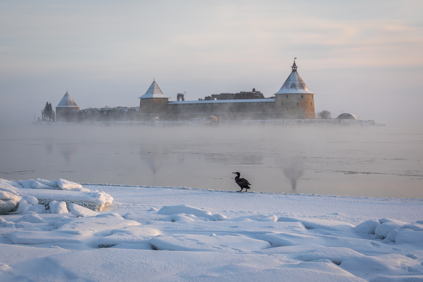 Вышел на прогулку