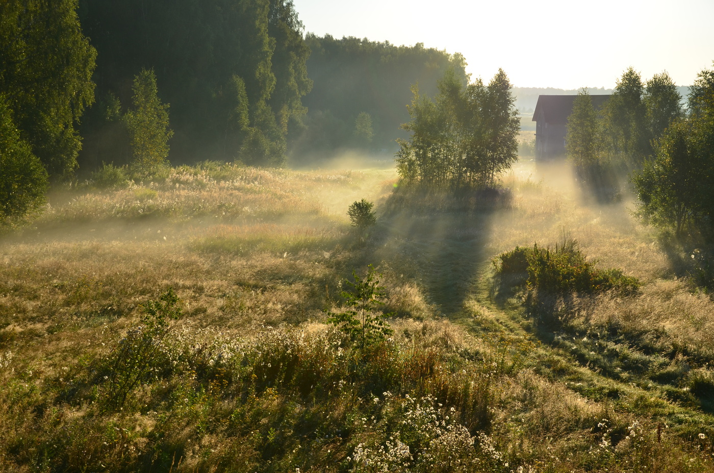 Утро деревенское