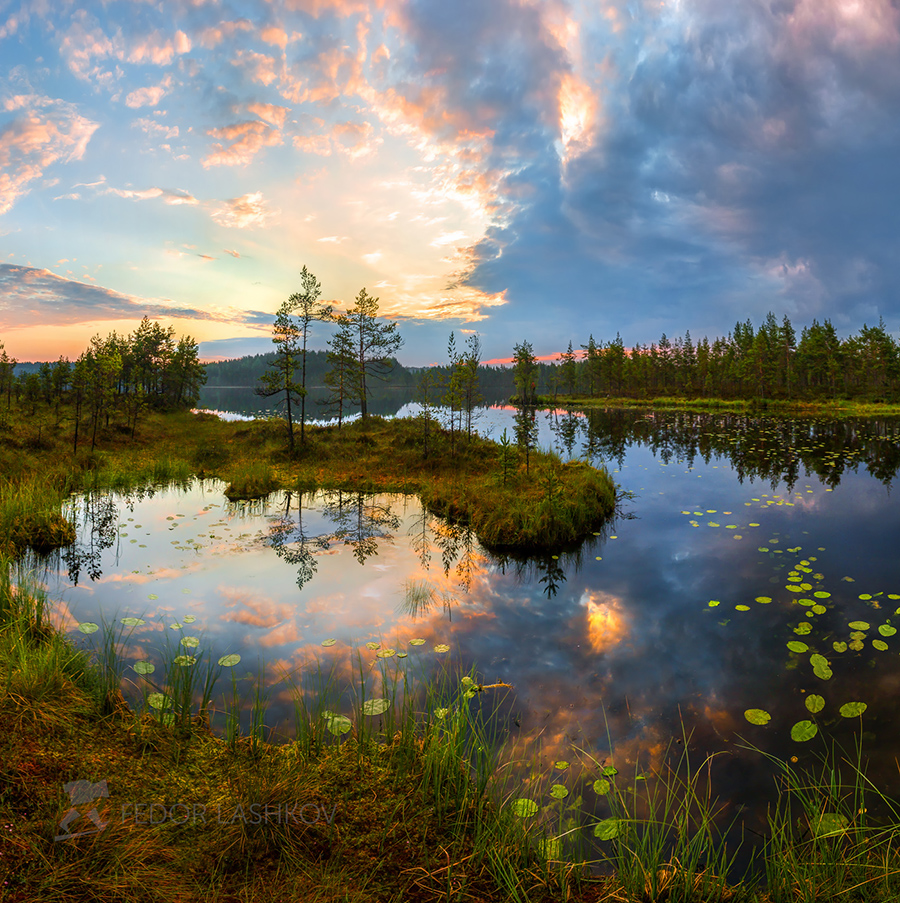 Картинное утро