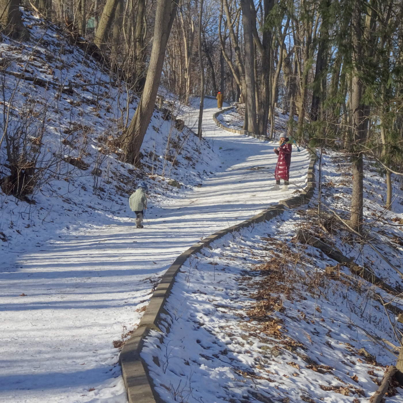 Вышел на прогулку