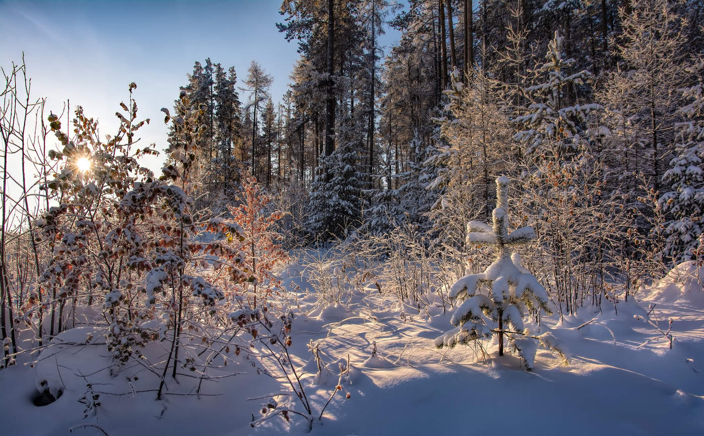 Зимний пейзаж