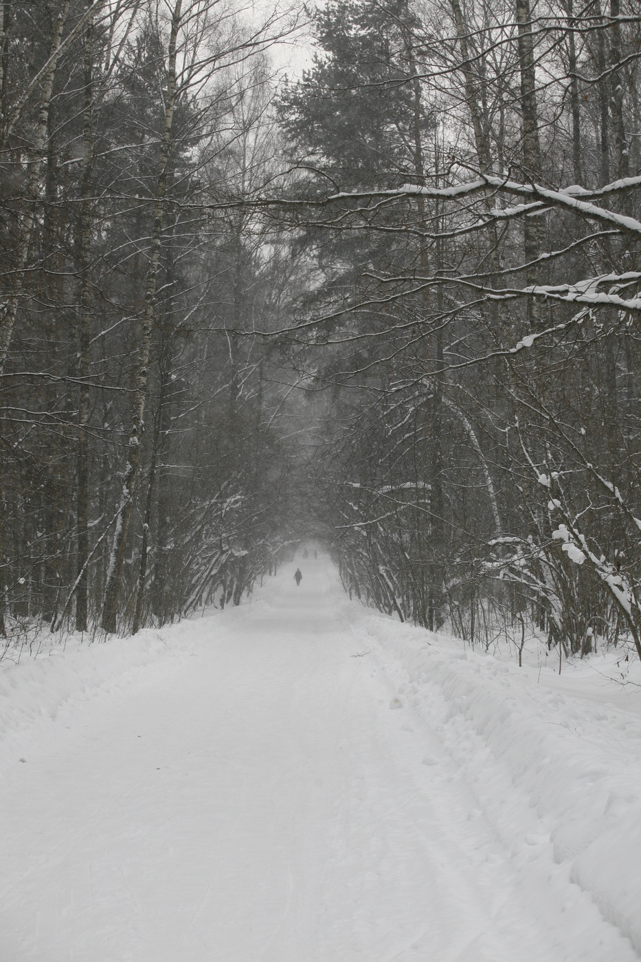 Вышел на прогулку