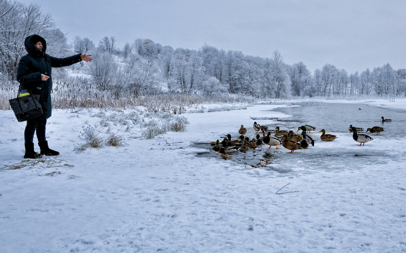 Вышел на прогулку