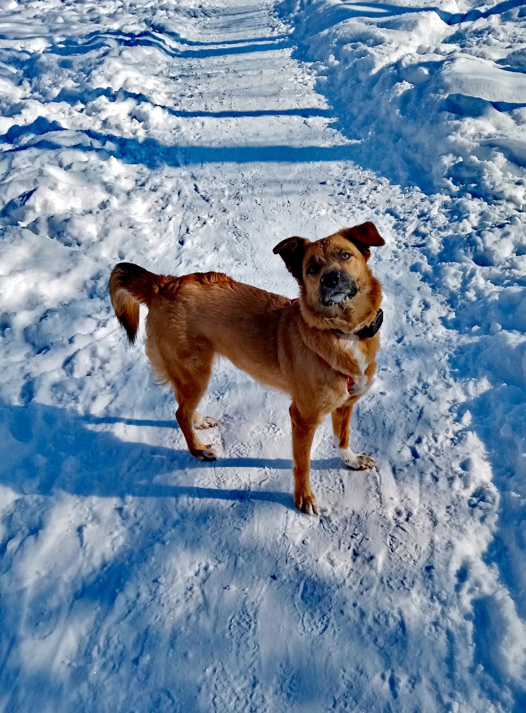 Вышел на прогулку