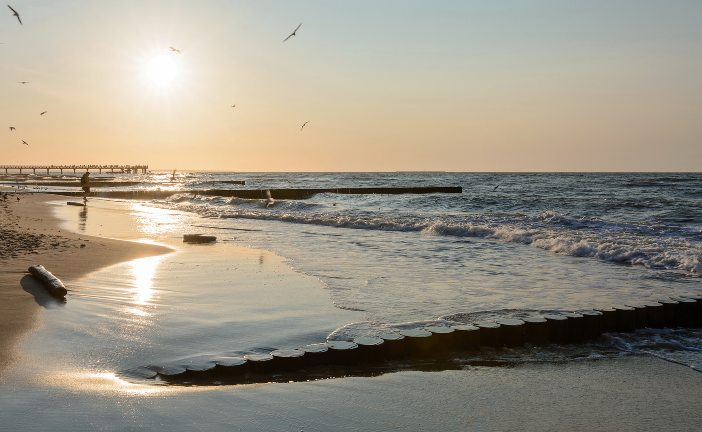 Вышел на прогулку
