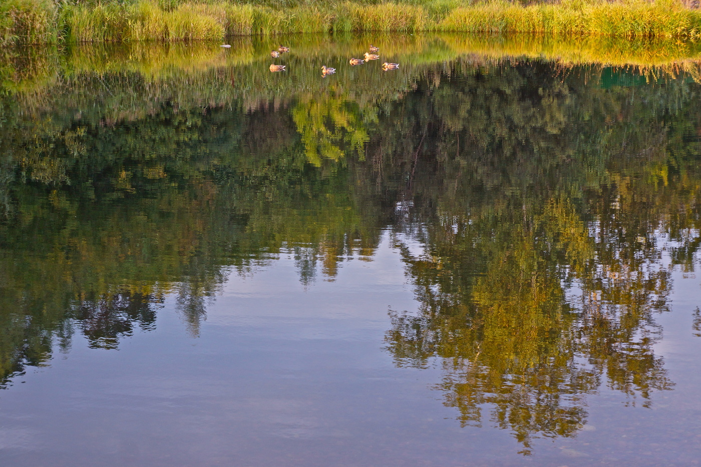 Тихо, ясно, тепло