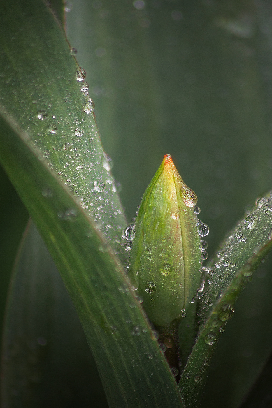 Апрельские зарисовки.