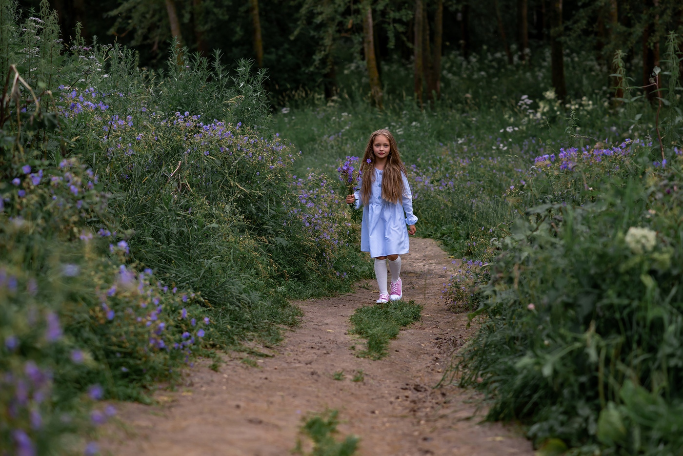 Путь к просвещению