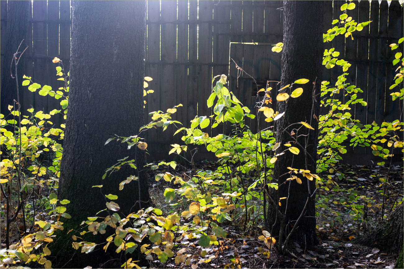 *за*оградой*