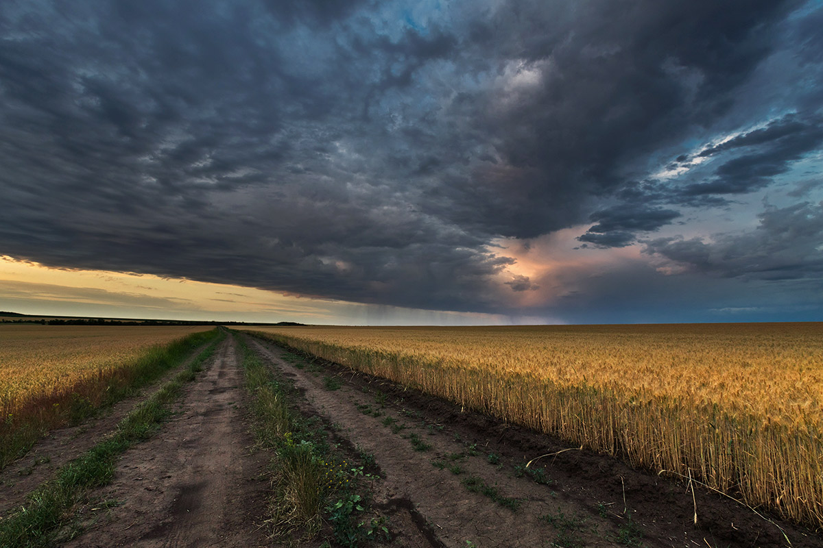 В полях вечерних