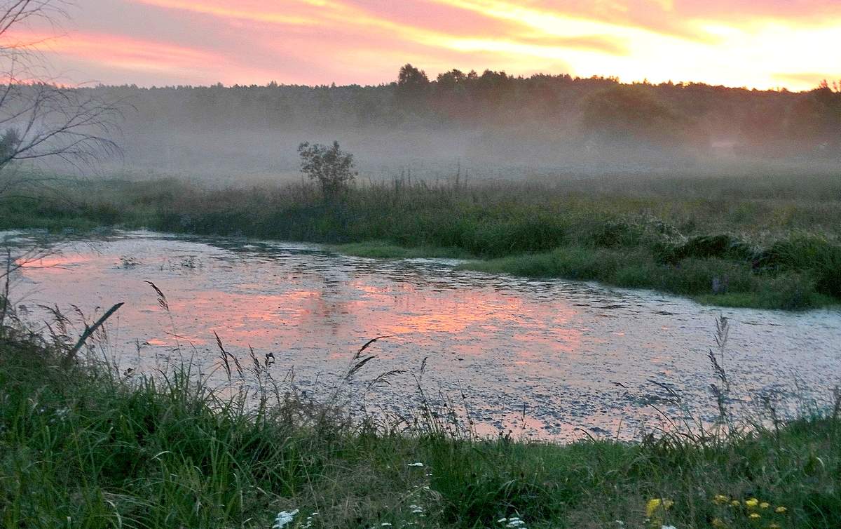 Однажды летним вечером