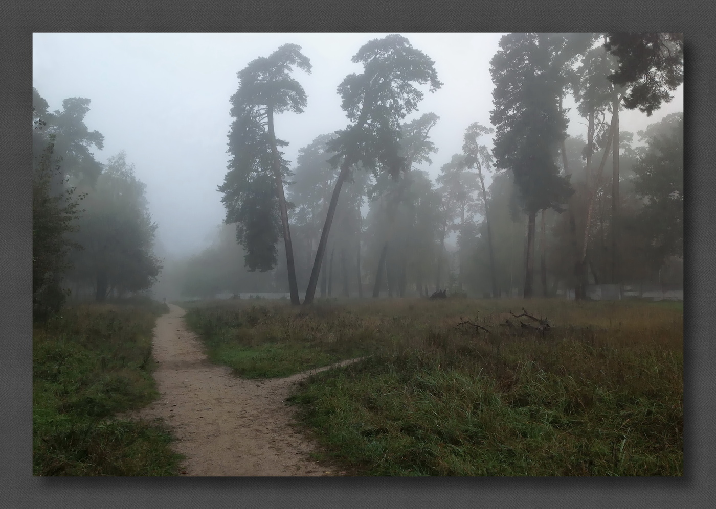 Унылое утро осени