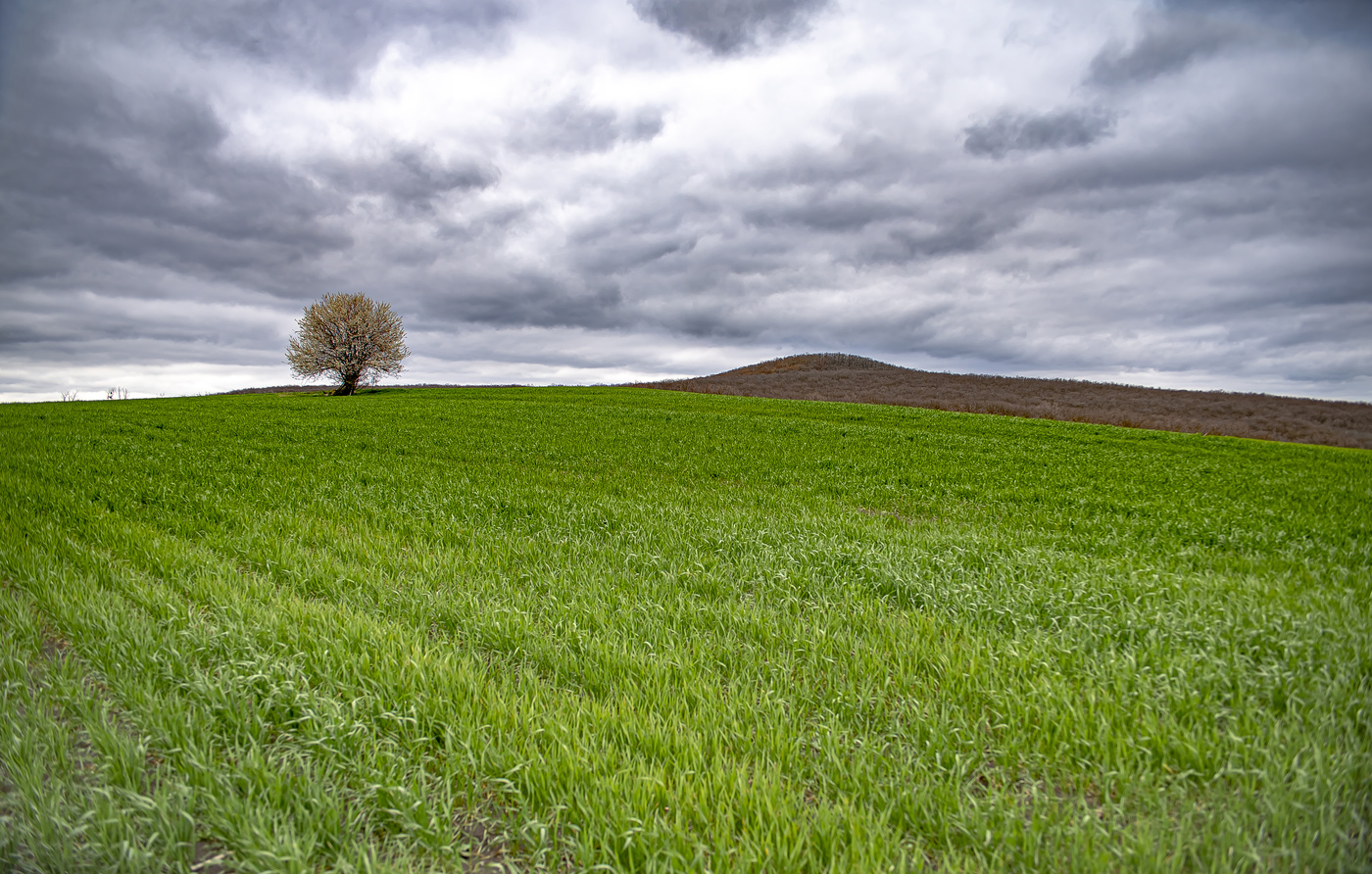 Суровый апрель