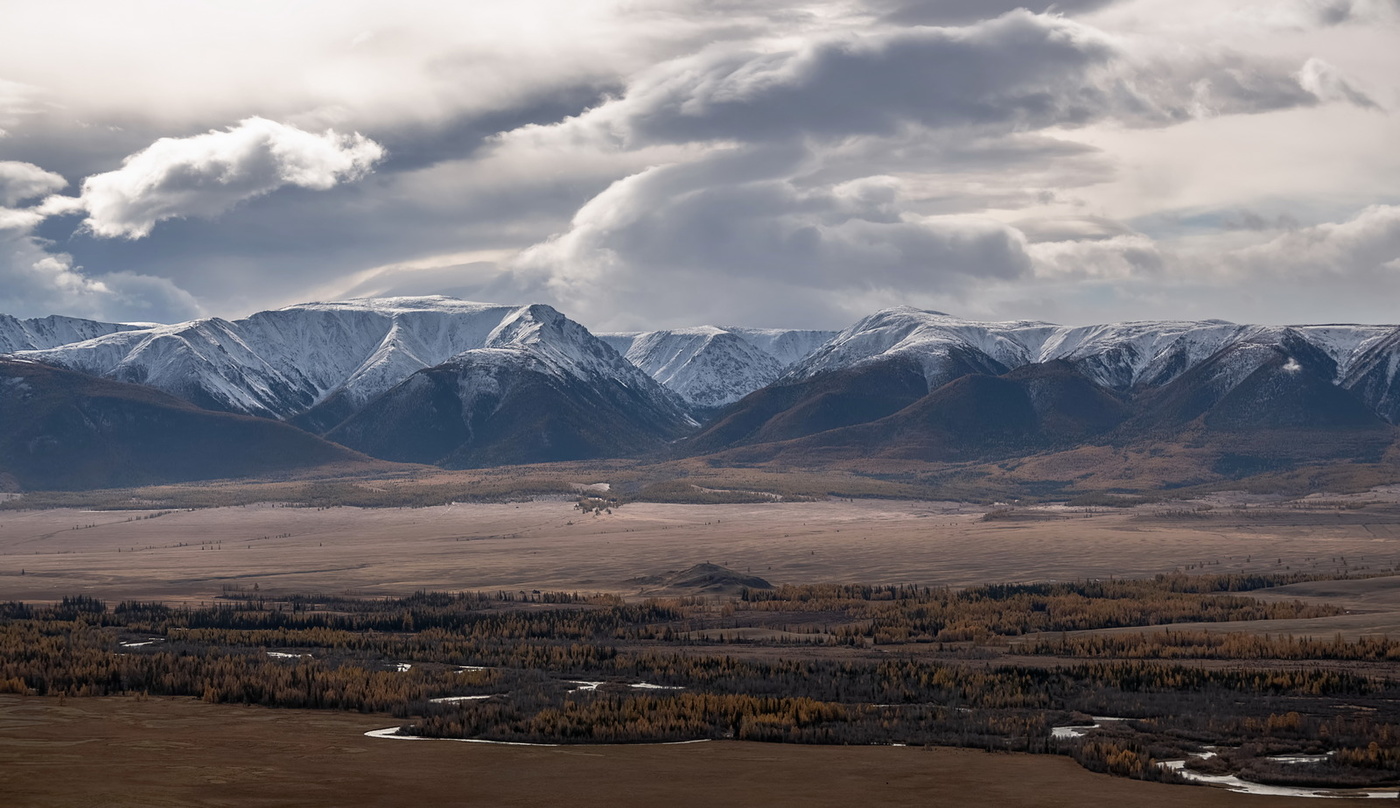 В Курайской степи.