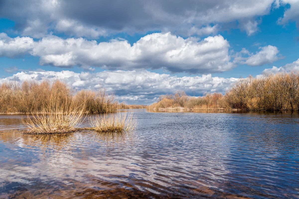 Апрель на Березине