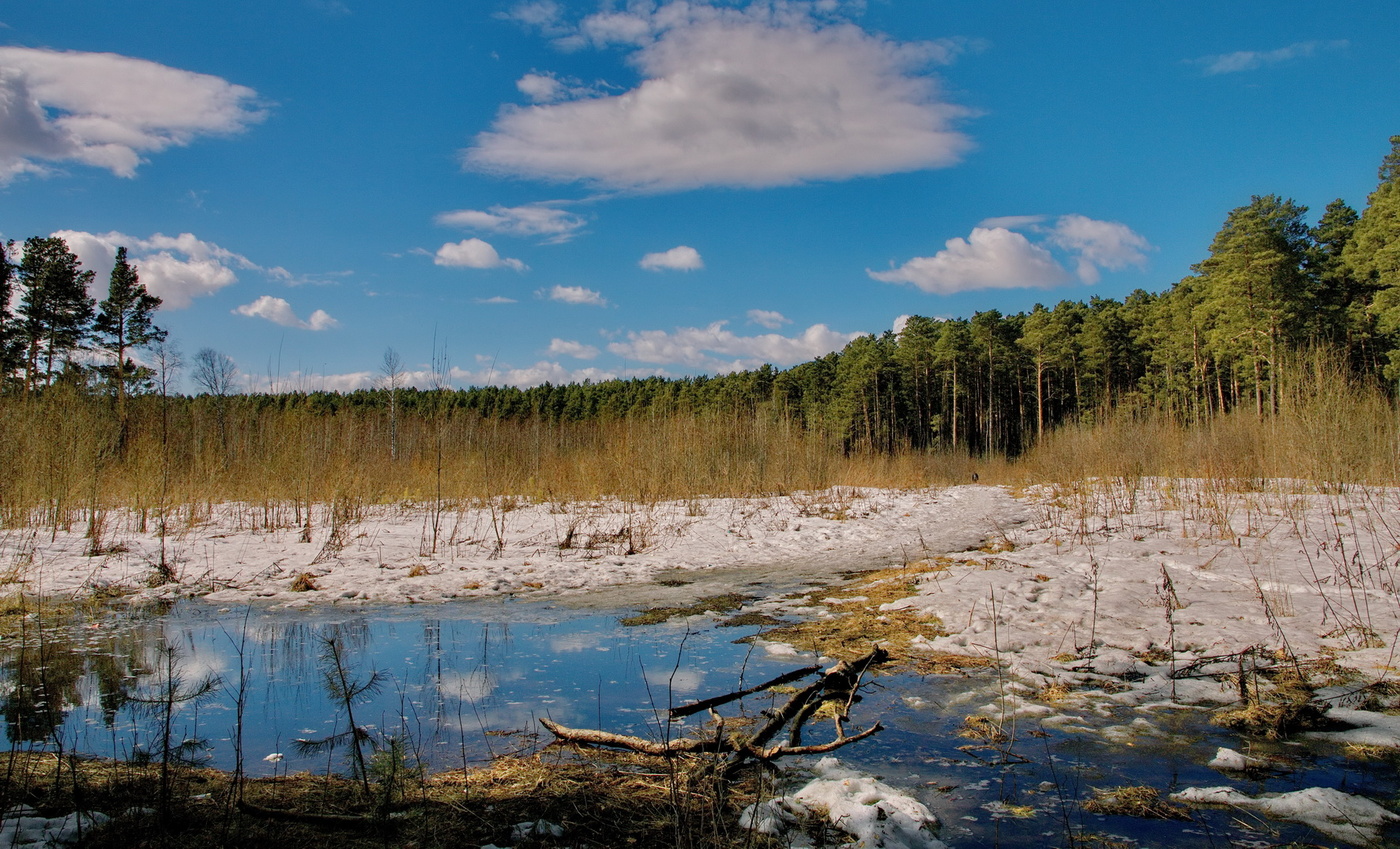 Весенним днём.