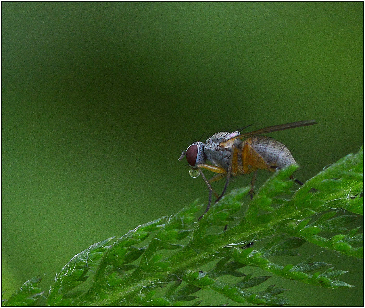 Одна в огромном мире.