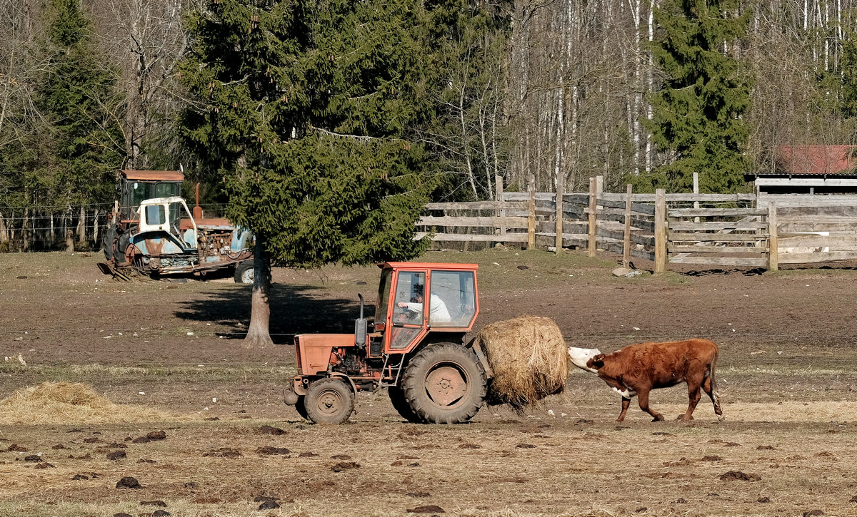 Весна пришла