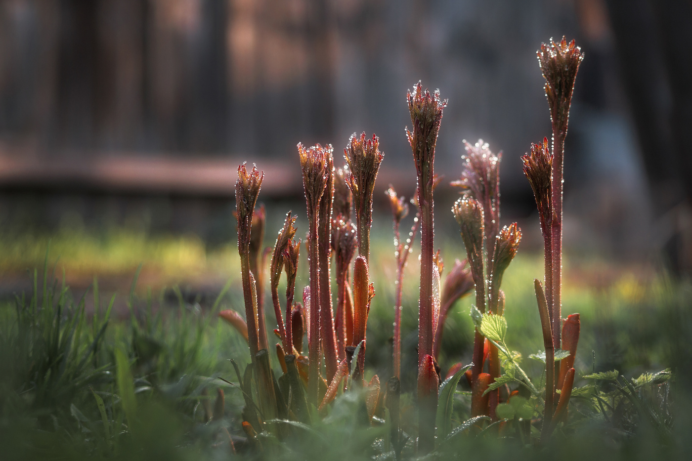 Апрельские зарисовки.