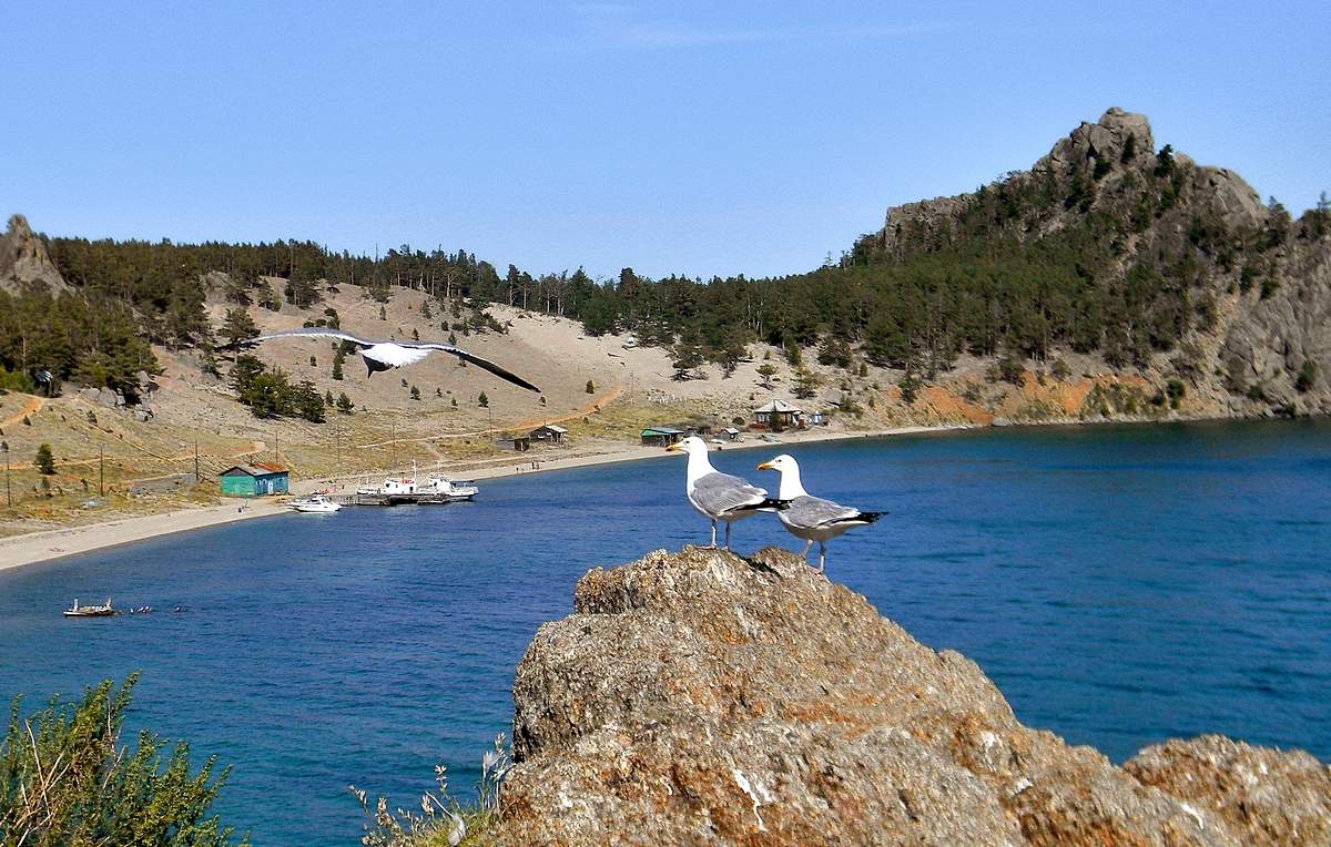 Бухта Песчаная, Байкал, 2014 год