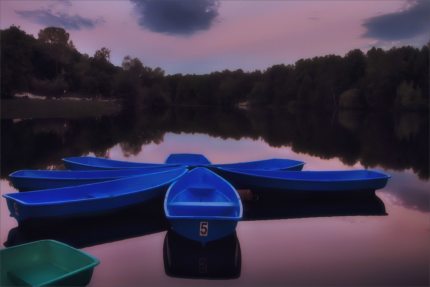 Лютик синий на закате.