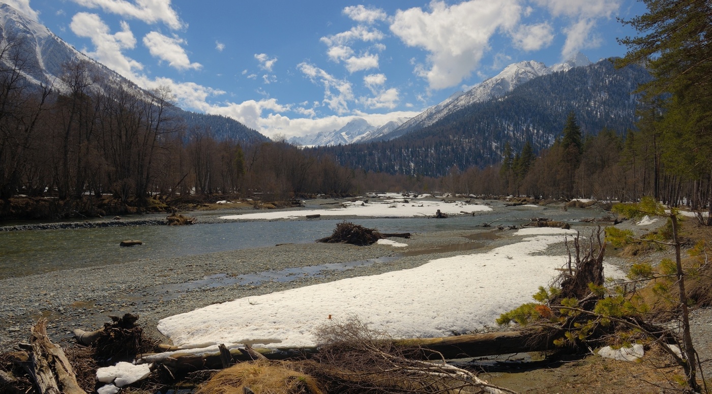 Пришла весна