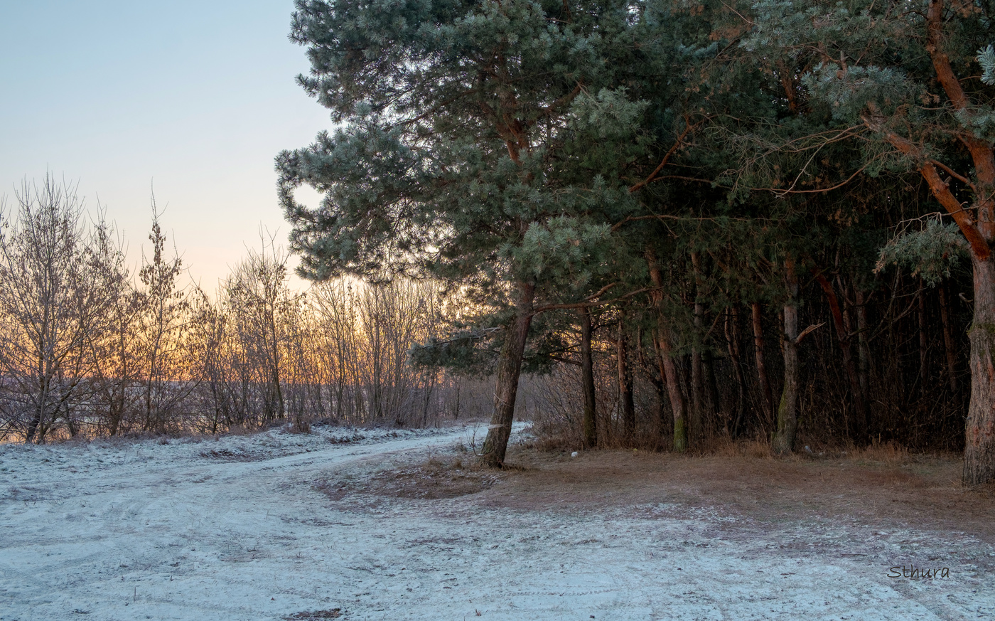 У леса на опушке...