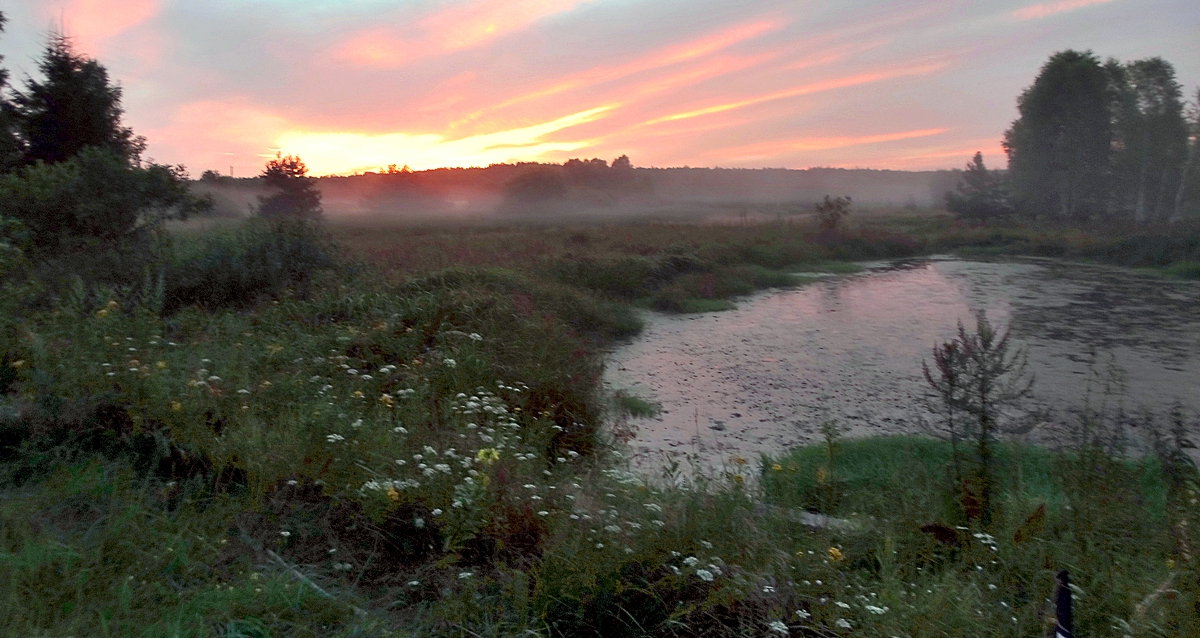 Туманные вечерние зори