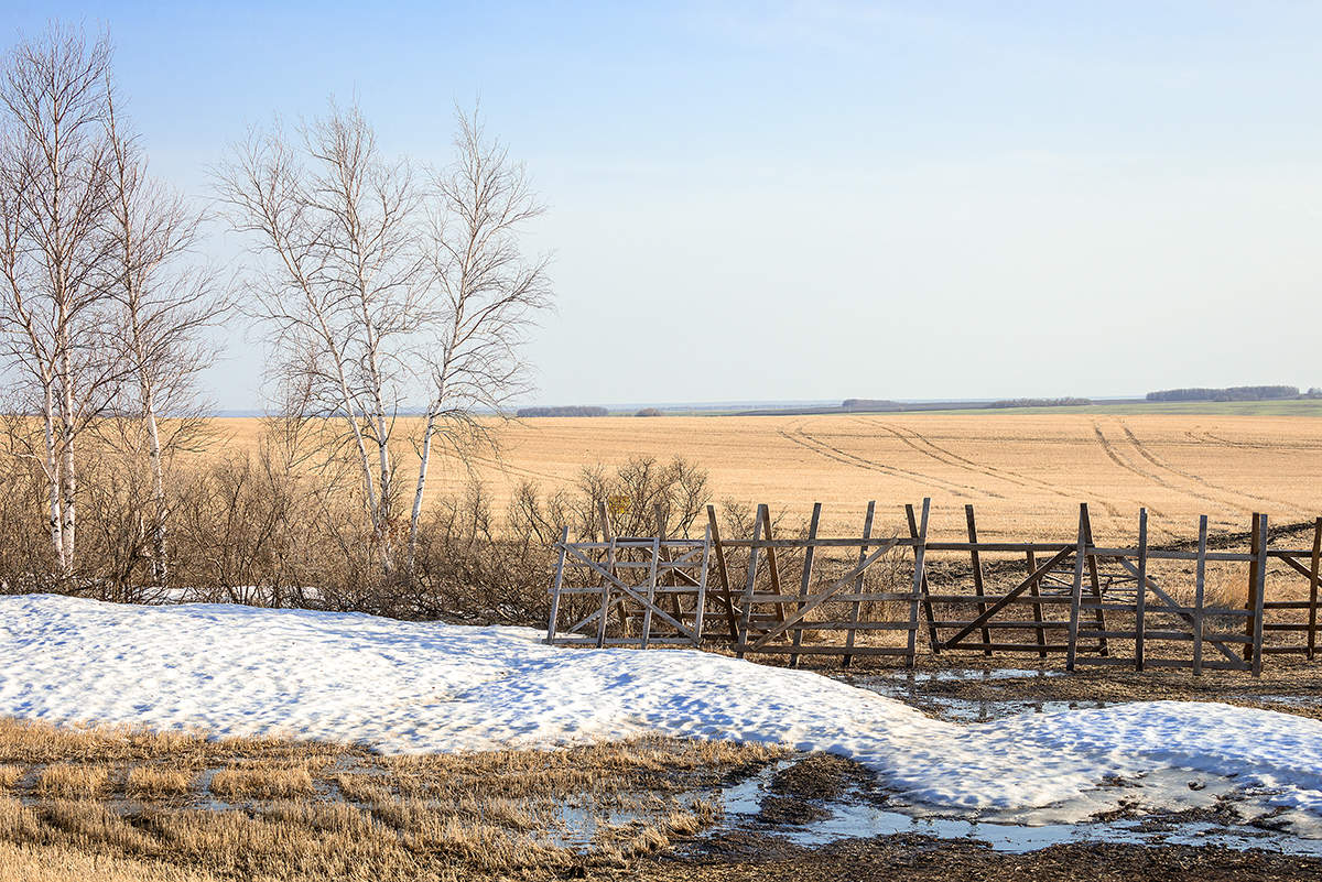 Последний сугроб...
