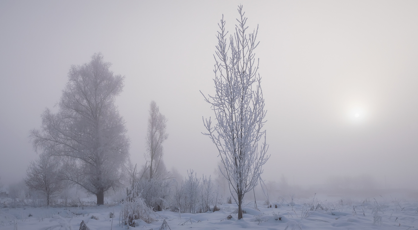 В морозной дымке